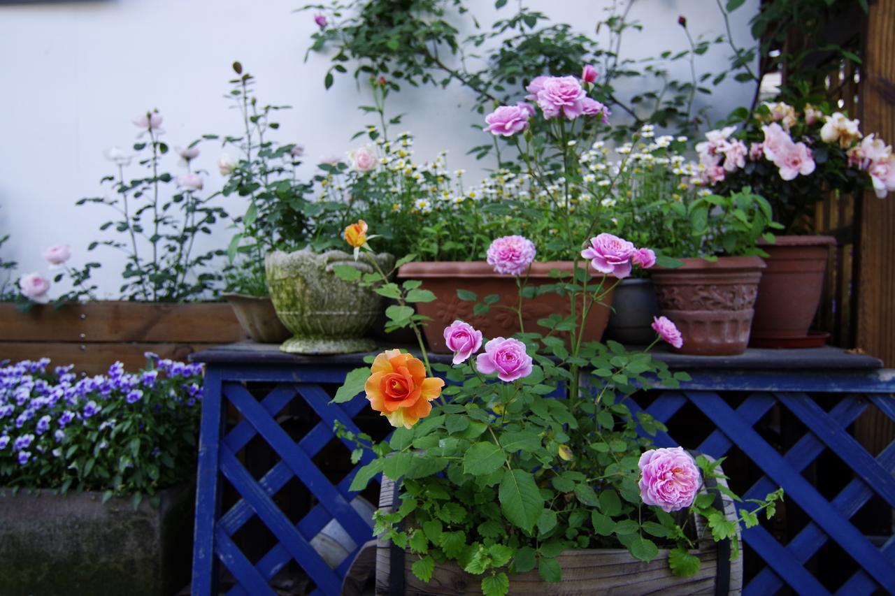 Homestay Jiuyueji