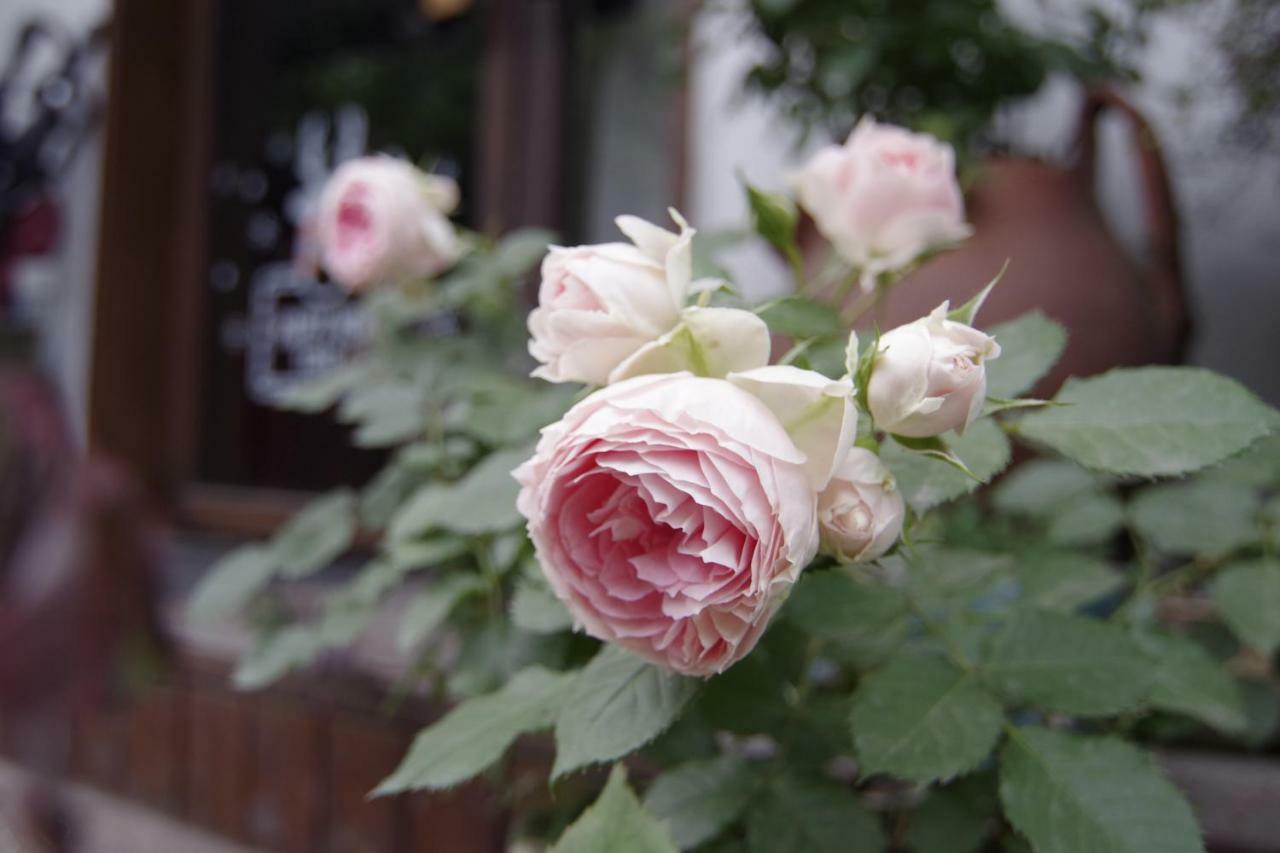 Jiuyueji Homestay Hangzhou