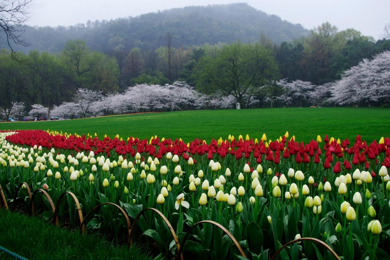 Jiuyueji Homestay Hangzhou